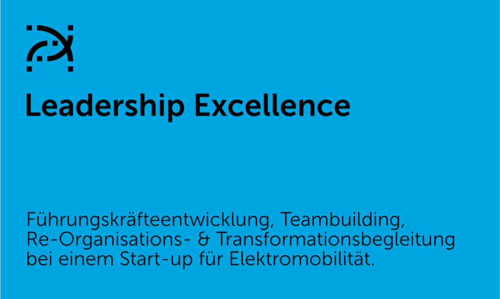 Leadership Excellence - Führungskräfteentwicklung, Teambuilding,