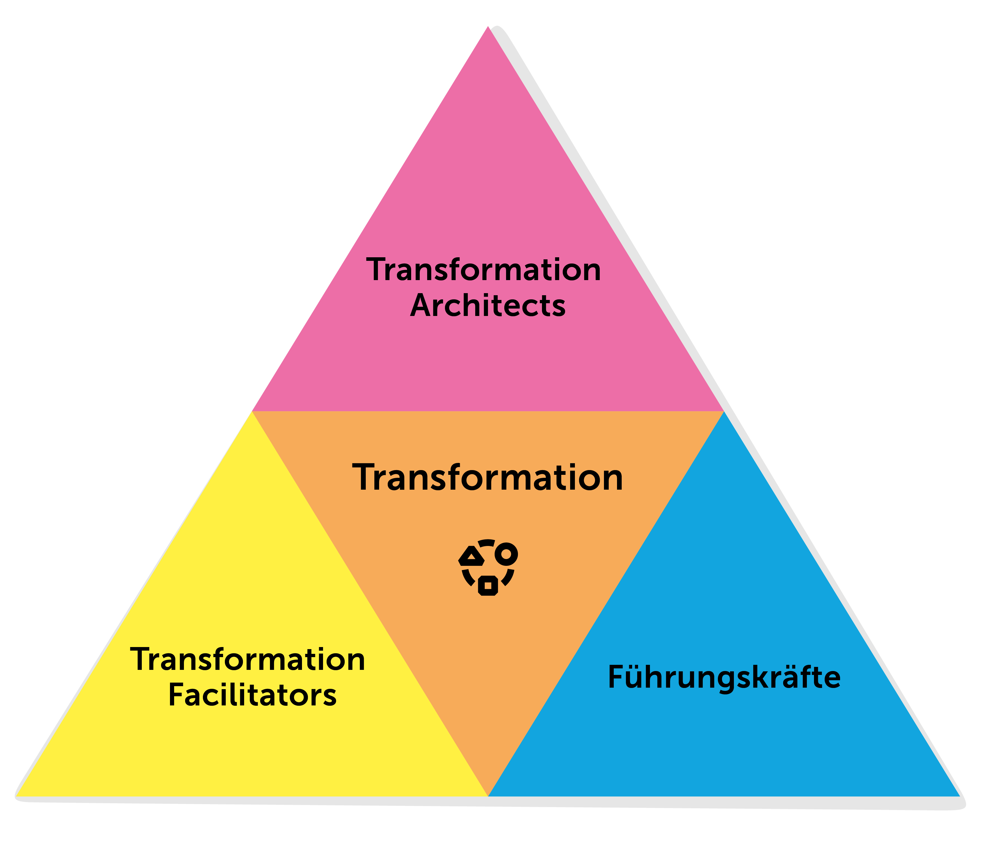 Transformation Rollen – Führungskräfte, Transformation Facilitators und Transformation Architects