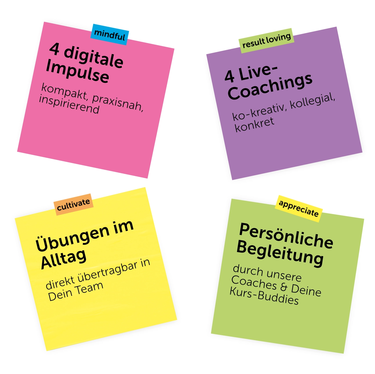 Vier bunte Post-its, die die Lernmethoden des Kurses zeigen: 4 digitale Impulse, 4 Live-Coachings, Übungen im Alltag und Persönliche Begleitung. Zeigt das hybride Format für effektives Kollaborativ Führen.